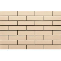 Плитка фасадна Krem 65x245x6,5 Cerrad