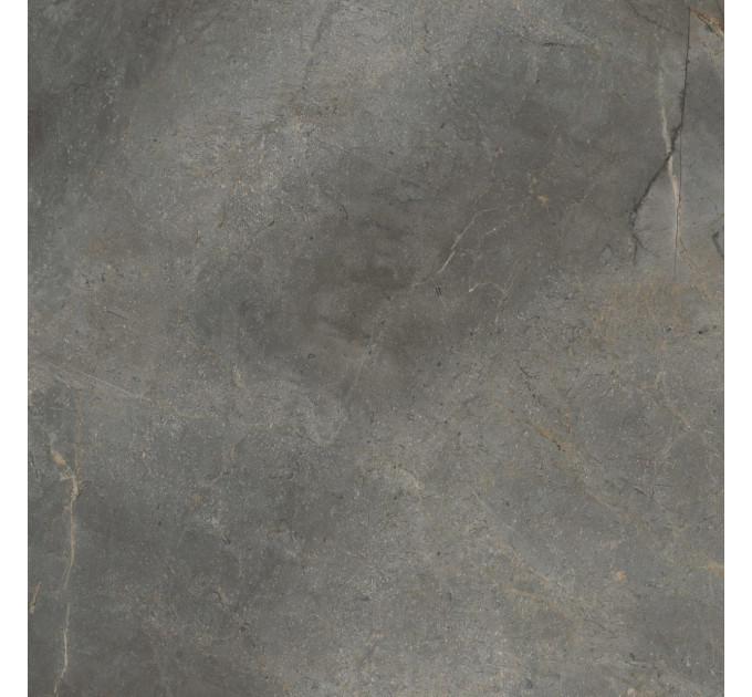 Плитка підлогова Masterstone Graphite RECT 119,7x119,7x0,8