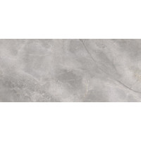 Плитка підлогова Masterstone Silver RECT 119,7x279,7x0,6