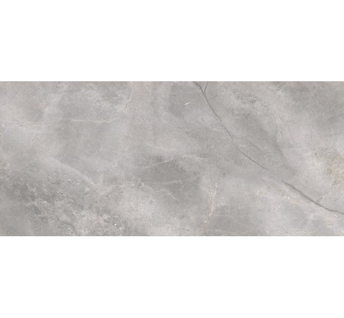 Плитка підлогова Masterstone Silver RECT 119,7x279,7x0,6