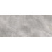 Плитка підлогова Masterstone Silver RECT 119,7x279,7x0,6