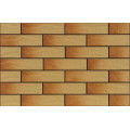Плитка фасадна Gobi Rustiko 6,5x24,5x0,65