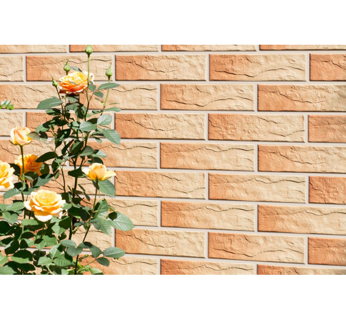 Плитка фасадна Gobi Rustiko 6,5x24,5x0,65