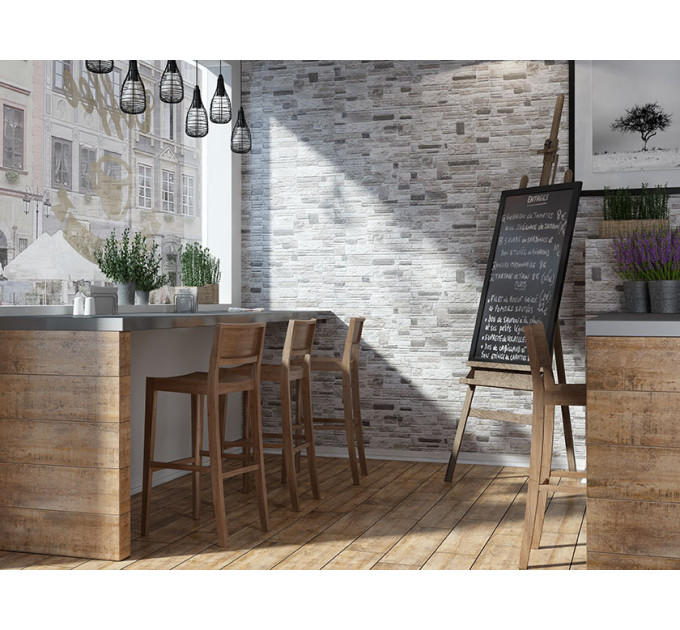 Камінь фасадний Canella Steel 30x49x1