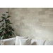 Камінь фасадний Saltstone Bianco 14,8x30x0,9