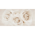 Декор Camelia Inserto Flower 297600x9 Opoczno