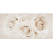 Декор Camelia Inserto Flower 297600x9 Opoczno