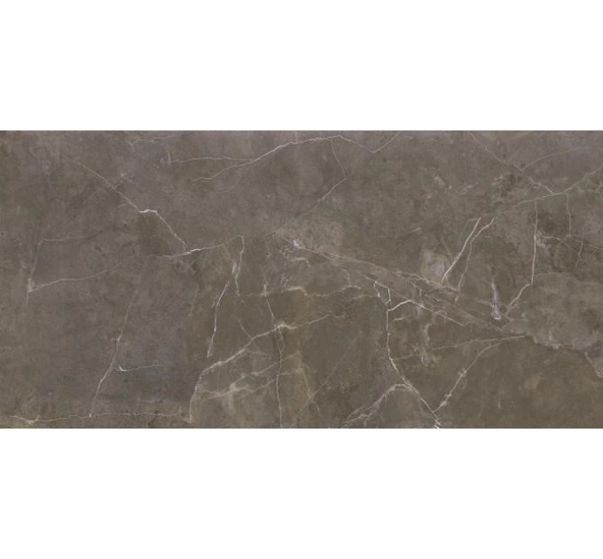 Плитка стінова Teneza Brown Glossy 297x600x9 Opoczno
