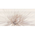 Декор Avangarde White Flower 29,7x60 код 7414 Опочно