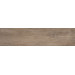 Плитка підлогова Willow Beige SZKL RECT STR MAT 29,5x119,5