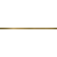 Фриз Uniwersalna listwa metalowa Oro 20x600x9 Paradyz