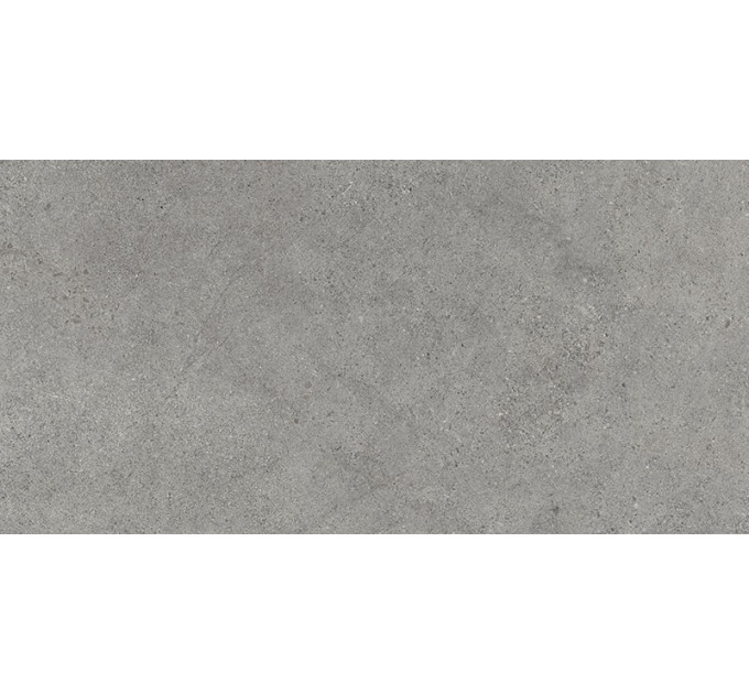 Плитка підлогова Authority Grey SZKL RECT MAT 60x120
