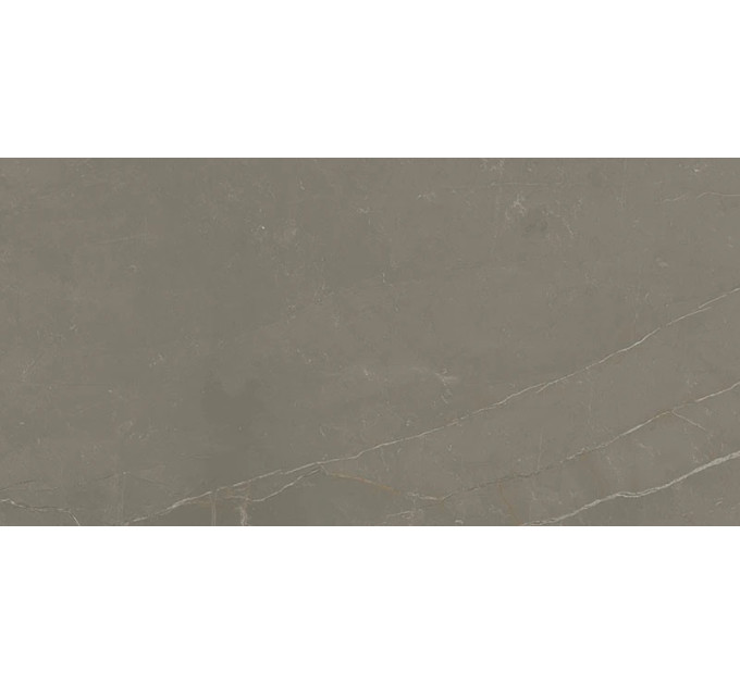Плитка керамогранітна Linearstone Taupe RECT 598x1198x9 Paradyz