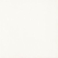 Плитка підлогова Gammo Білий SZKL MAT 19,8x19,8
