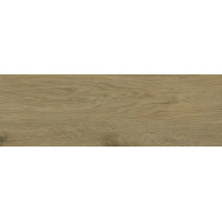 Плитка керамогранітна Decorwood Honey STR 200x600x8 Paradyz