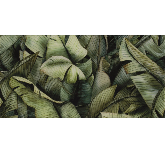 Декор Універсальний Leaf A SZKL 30x60
