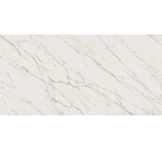 Плитка керамогранітна Elite White RECT MAT 598x1198 Paradyz