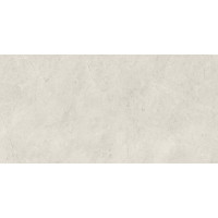 Плитка стінова Afternoon Silver RECT 298x598x9 Paradyz