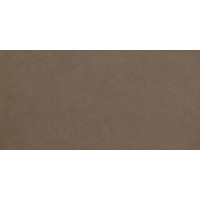 Плитка підлогова Intero Brown RECT MAT 29,8x59,8