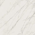 Плитка керамогранітна Elite White RECT MAT 598x598 Paradyz