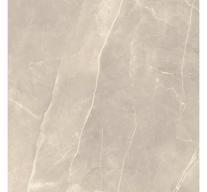 Плитка керамогранітна Ritual Taupe SZKL RECT MAT 898x898 Paradyz