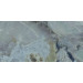 Плитка керамогранітна Invisible Green SZKL RECT POL 598x1198 Paradyz