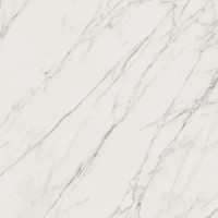 Плитка керамогранітна Elite White RECT POL 598x598 Paradyz