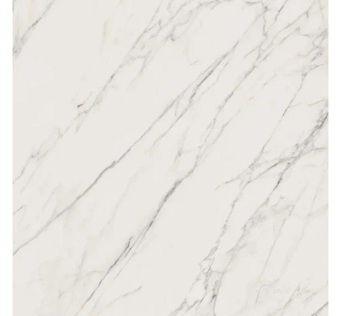 Плитка керамогранітна Elite White RECT POL 598x598 Paradyz