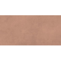 Плитка керамогранітна Architeq Terra SZKL RECT MAT 598x1198 Paradyz
