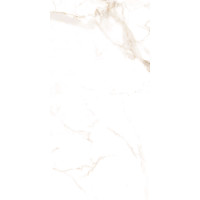 Плитка Teo Ceramics Alcora Gold F P R Satin 600х1200х8