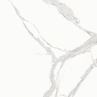 Плитка Teo Ceramics Nuovo White F P Glossy R 600х600