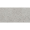 Плитка керамогранітна HIGHBROOK LIGHT GREY 298х598x8 Cersanit