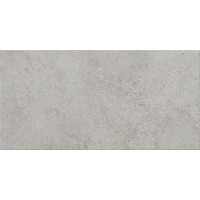 Плитка керамогранітна HIGHBROOK LIGHT GREY 298х598x8 Cersanit