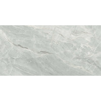 Плитка керамогранітна S92990 Silver Roots сірий 600x1200x8 Golden Tile