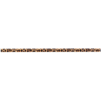 Фриз скляний GFР 9025041 print41 25 х 900 х 8 Кераміка Лео УКРАЇНА