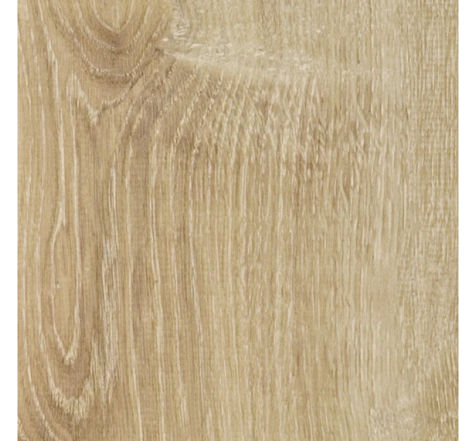 Ламінат 621W Діамант 'ІН' Дуб канарський, 12мм 5G Beauty floor ФРАНЦІЯ