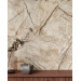 Плитка керамогранітна ZRXFM3BR Fiera Del Marmo Bidasar 600x600x9,2 Zeus Ceramica