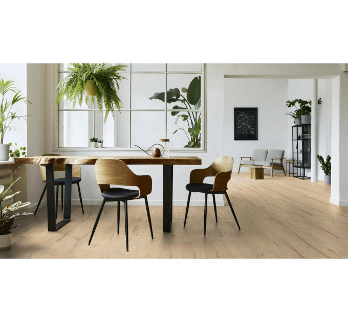 Ламінована підлога K2413 Oak Zermatt Castor 193х1383х8,5 Kaindl