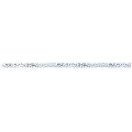 Фриз скляний GFР 6025012 print12 25х 600х8 Кераміка Лео УКРАЇНА