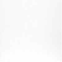 Плитка керамогранітна ZRXK0BR ABSOLUTE White 600x600x9,2 Zeus Ceramica