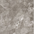Плитка керамогранітна RT2580 Ritz сірий 600х600х8 Golden Tile
