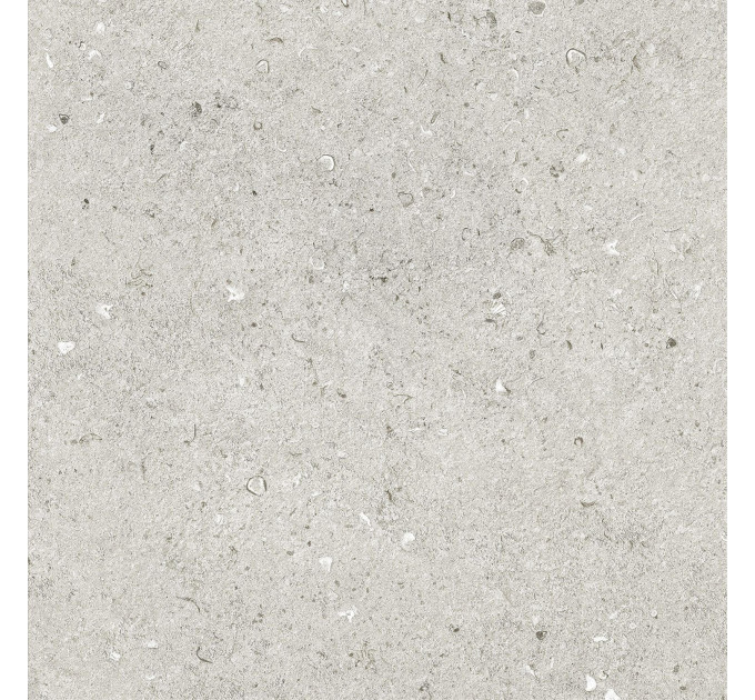 Плитка керамогранітна SJJ580 Silent Shore тауп 600х600х8 Golden Tile