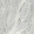 Плитка керамогранітна S92590 Silver Roots сірий 600х600х8 Golden Tile