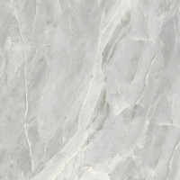 Плитка керамогранітна S92590 Silver Roots сірий 600х600х8 Golden Tile