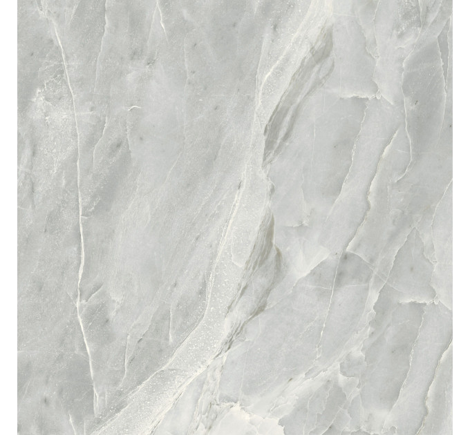 Плитка керамогранітна S92590 Silver Roots сірий 600х600х8 Golden Tile