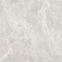 Плитка керамогранітна SEG580 Sky Stone світло-сірий 600х600х8 Golden Tile