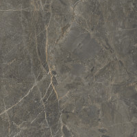 Плитка керамогранітна SO7580 Stone Roots коричневий 600х600х8 Golden Tile