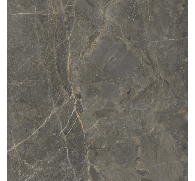 Плитка керамогранітна SO7580 Stone Roots коричневий 600х600х8 Golden Tile