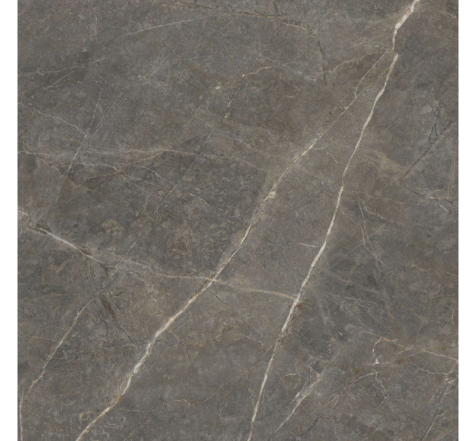 Плитка керамогранітна SO7580 Stone Roots коричневий 600х600х8 Golden Tile