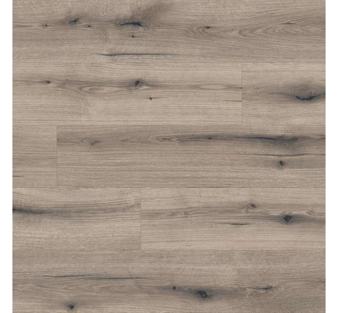 Ламінат Kaindl Natural Touch Standard Plank K5576 Дуб EVOKE KNOT SOLANO